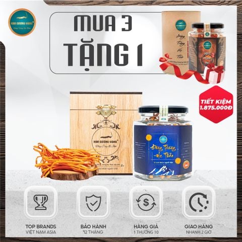 [Mua 3 Tặng 1] Mua 3 Đông Trùng Hạ Thảo Thượng Phẩm 15g TẶNG 1 Đông Trùng Hạ Thảo Khô 10g Hộp Giấy