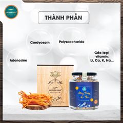 [Mua 3 Tặng 1] Đông Trùng Hạ Thảo Thượng Phẩm 15g
