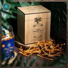 Đông Trùng Hạ Thảo Thượng Phẩm (Hũ 15g)