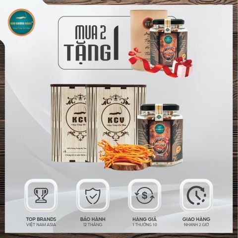 [MUA 2 TẶNG 1] Mua 2 Đông Trùng Hạ Thảo Khô Hộp Gỗ TẶNG 1 ĐTHT Khô Hộp Giấy
