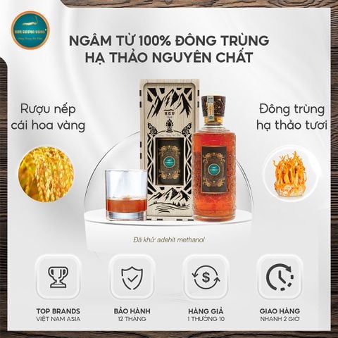 Đông Trùng Hạ Thảo Ngâm Rượu 650ml