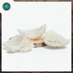 Combo Tổ Yến Tinh Chế 50g Tặng 1 hộp Đông Trùng Hạ Thảo 10g hộp giấy