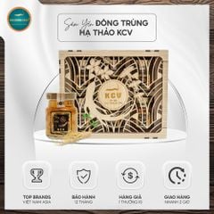 Hộp Yến Sâm Đông Trùng Hạ Thảo (6 Hũ)