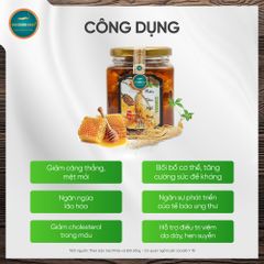 Nhân Sâm Mật Ong Canada (Hộp 280ml)