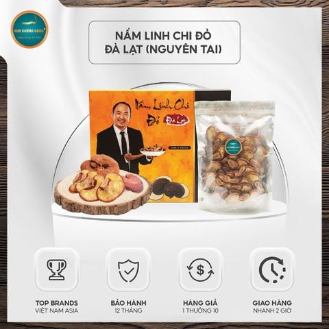 Nấm Linh Chi Non Đà Lạt Nguyên Tai (Hộp 250g)