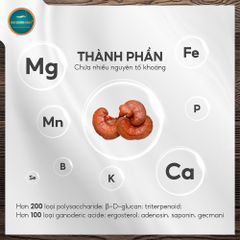Nấm Linh Chi Đỏ Đà Lạt Cắt Lát (Hộp 250g)