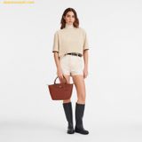  Túi Xách LongChamp Le Pliage Green S Handbag Chestnut - Recycled Canvas 
