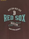  Áo Phông MLB Varsity Vintage Color Graphic Overfit Functional Short Sleeve T-Shirt Boston Red Sox 3ATSV0653-43BRS 