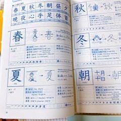 Combo Kanji Look and Learn N3, N2 - 560 Kanji (SGK + SBT)
