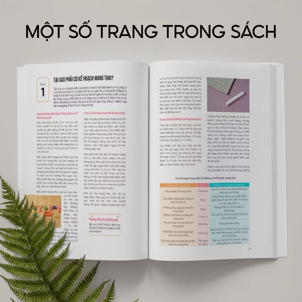 Mang Thai Sinh Nở Và Nuôi Con Khỏe Mạnh