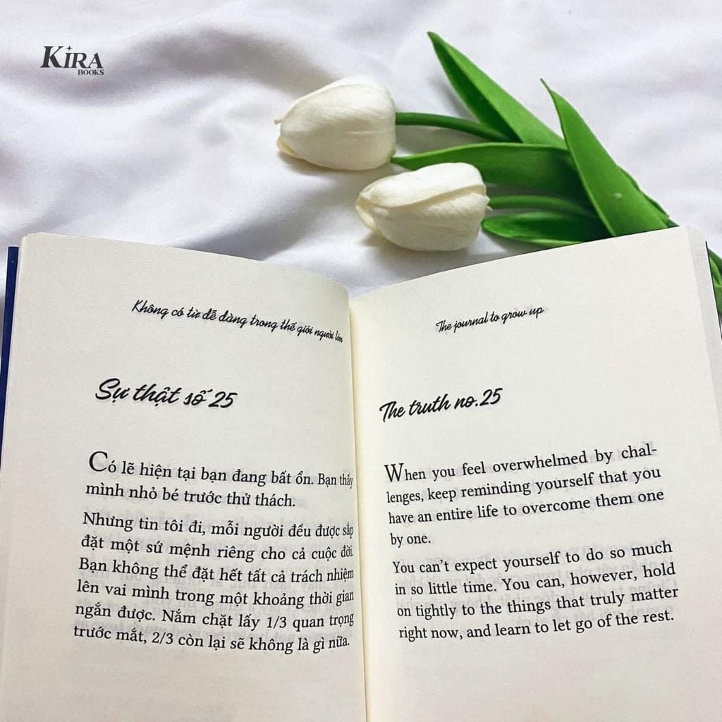 The Journal To Grow Up – Không Có Từ Dễ Dàng Trong Thế Giới Người Lớn ( Song ngữ Anh Việt )