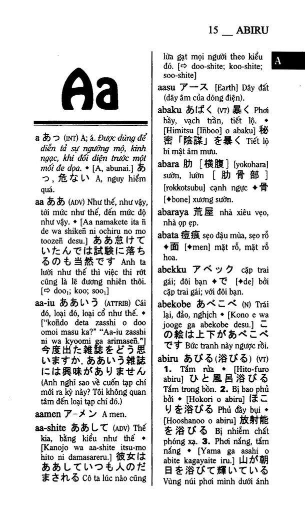 Từ điển Nhật Việt - Việt Nhật (bìa cứng)