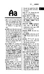 Từ điển Nhật Việt - Việt Nhật (bìa cứng)