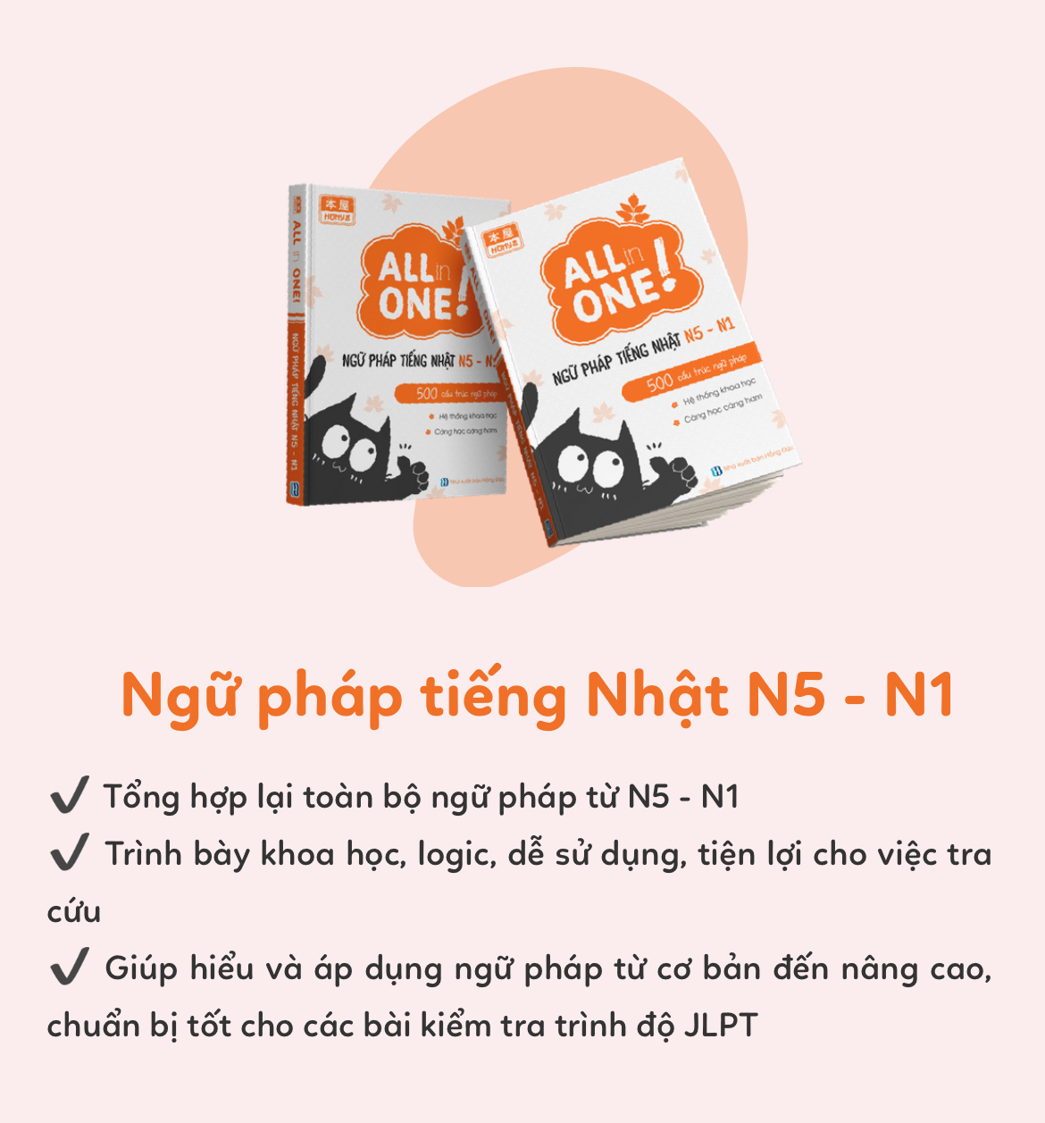 All in one combo làm chủ tiếng nhật Combo làm chủ tiếng Nhật N5-N1