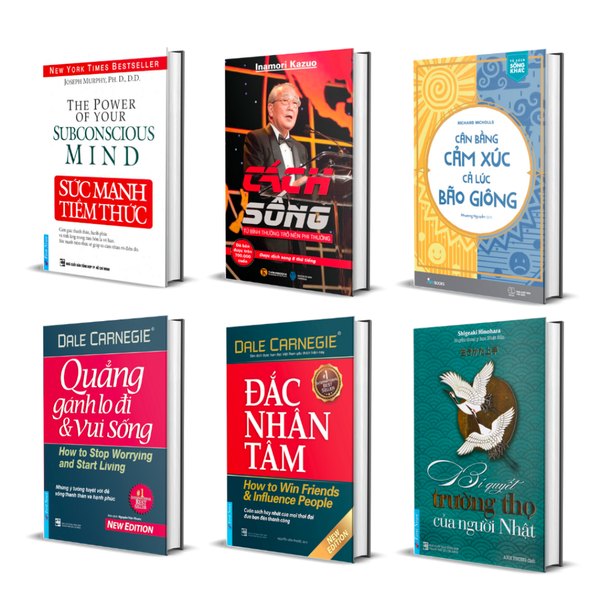 Combo Sách Mang Tới Giải Pháp Sống An Yên Với Đời