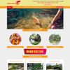 Theme Wordpress Dịch Vụ Làm Hồ Cá Koi