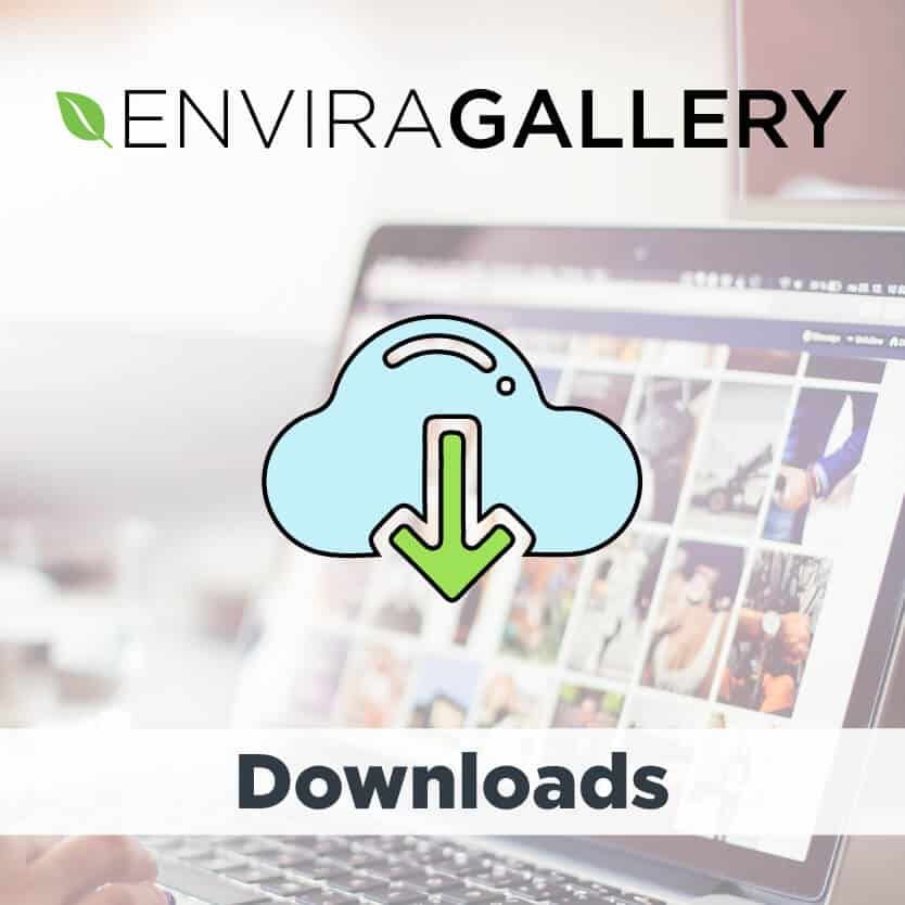  Envira Gallery Downloads Addon 