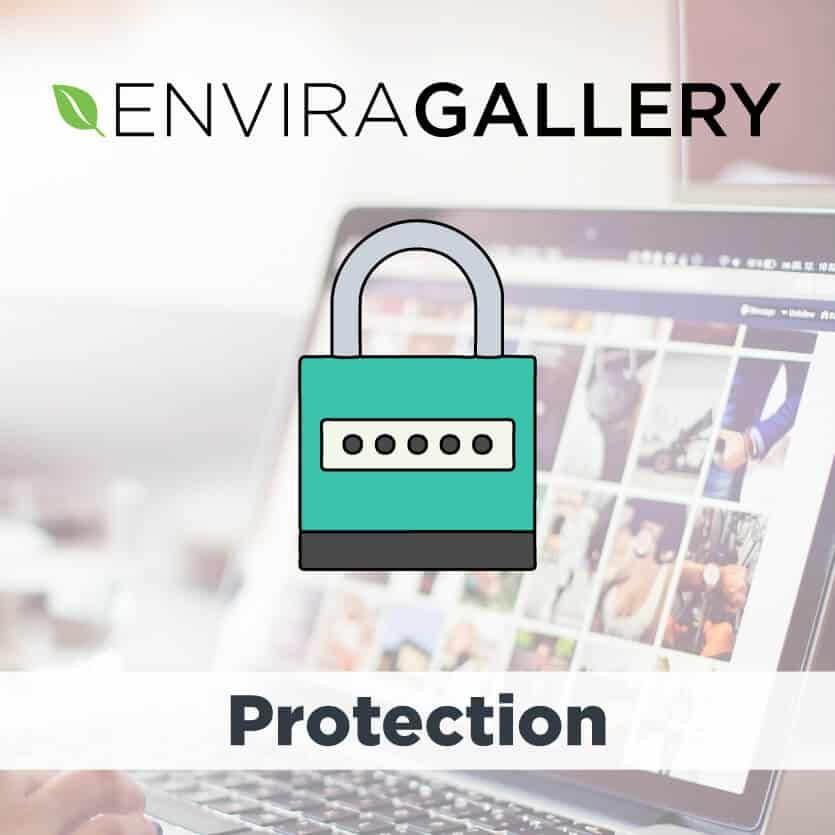  Envira Gallery Protection Addon 