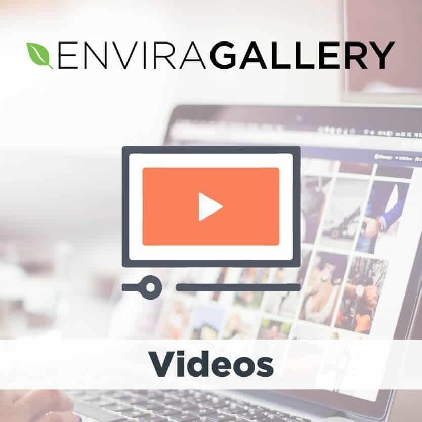  Envira Gallery Videos Addon 