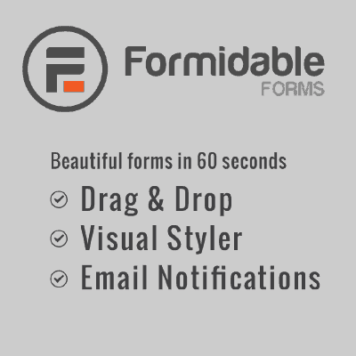  Formidable Forms Pro – WordPress Form Builder Plugin (Basic) 