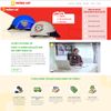 Theme Wordpress Bán Nón Bảo Hiểm