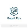 Rocket Genius Gravity Forms Paypal Pro Addon