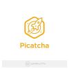 Rocket Genius Gravity Forms Picatcha Addon