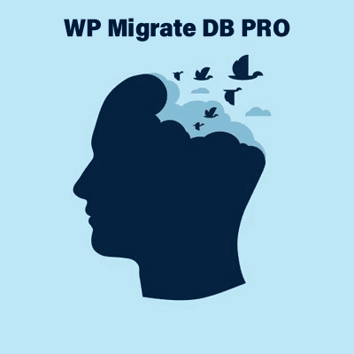  WP Migrate DB PRO 