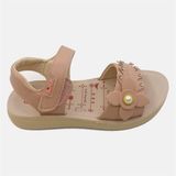  SANDAN TT KA TC06 BÔNG HỘT 045 