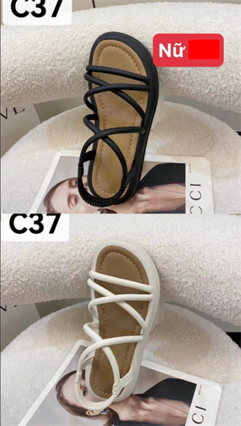  SANDAN SI KA C37 CHÉO X 103 