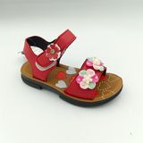  SANDAN TT KA ĐẠI ĐẠI 2 BÔNG HP KITO 451 