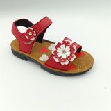  SANDAN TT KA BÔNG HP KITO 451 