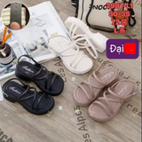  SANDAN NHỰA KA 2981-L1 TRƠN 545 