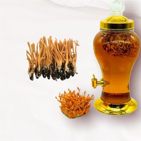  RƯỢU ĐTHT, SÂM ĐẶC BIỆT BÌNH 3L (CÓ 35 CON ĐÔNG TRÙNG) 
