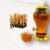  RƯỢU ĐTHT, SÂM ĐẶC BIỆT BÌNH 3L (CÓ 35 CON ĐÔNG TRÙNG) 