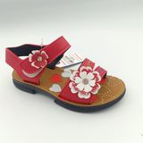  SANDAN TT KA BÔNG HP KITO 451 