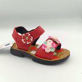  SANDAN TT KA ĐẠI ĐẠI 2 BÔNG HP KITO 451 