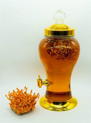  RƯỢU ĐÔNG TRÙNG HẠ THẢO 1L 