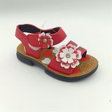  SANDAN TT KA BÔNG HP KITO 451 