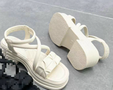  SANDAN SI KA 1881 NHÚM CHÉO 534 