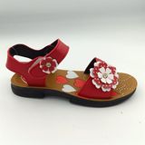  SANDAN TT KA BÔNG HP KITO 451 