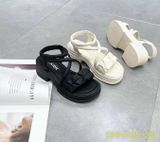  SANDAN SI KA 1881 NHÚM CHÉO 534 