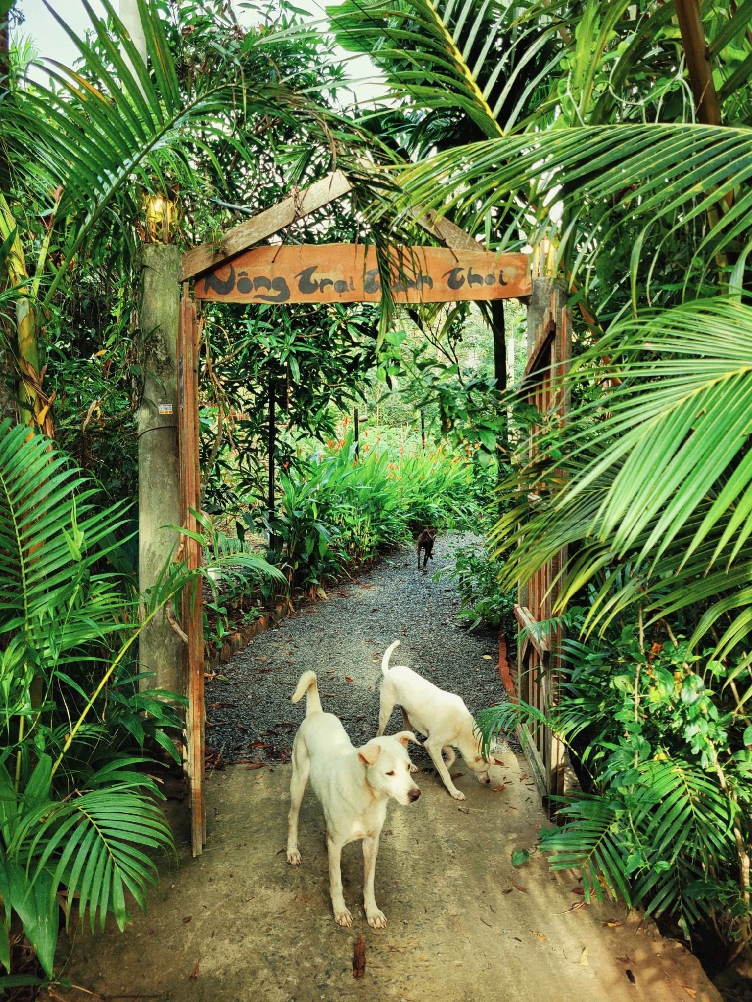  Farmstay Nông trại thảnh thơi 