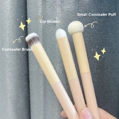 Set 3 Cọ Môi Lanni No 101 Nội Địa Trung