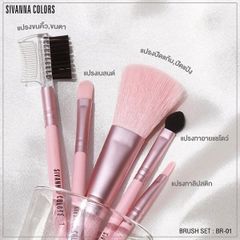 Bộ 5 Cọ Trang Điểm Sivanna Colors BR-01