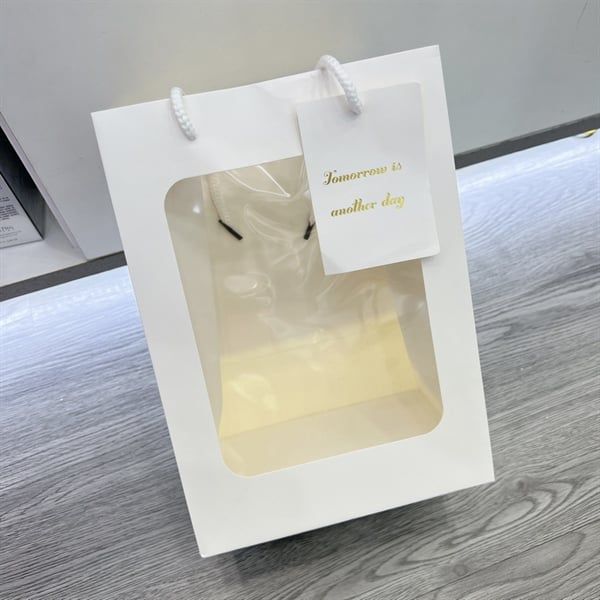 Túi Quà Thường Nhiều Màu