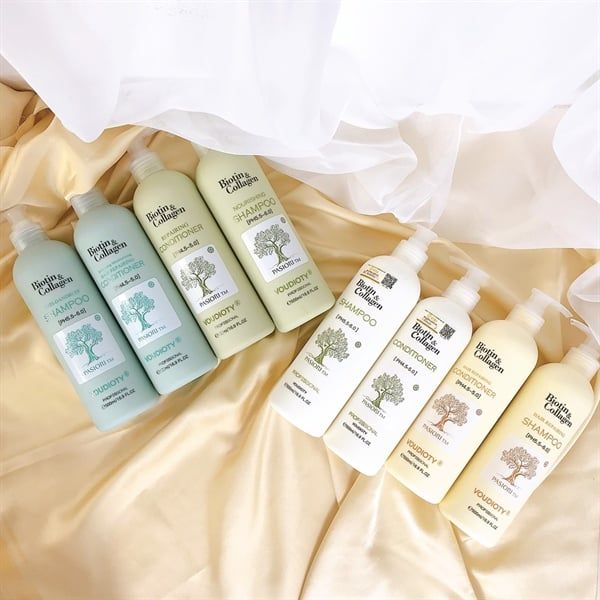 [New] Bộ Gội - Xã Dưỡng Sinh Stillonps Kenry (08/2026)