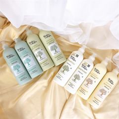 [New] Bộ Gội - Xã Dưỡng Sinh Stillonps Kenry (08/2026)