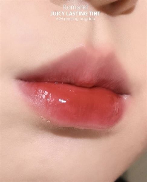 SON ROMAND JUICY LASTING TINT 5.5G