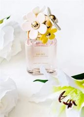 #Hồng Hoa - Nước Hoa Marc Jacobs Daisy Esf 125Ml